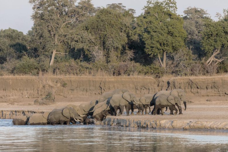 best african safari Luangwa Luxa Terra