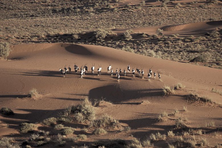 best african safari Kalahari Desert Luxa Terra